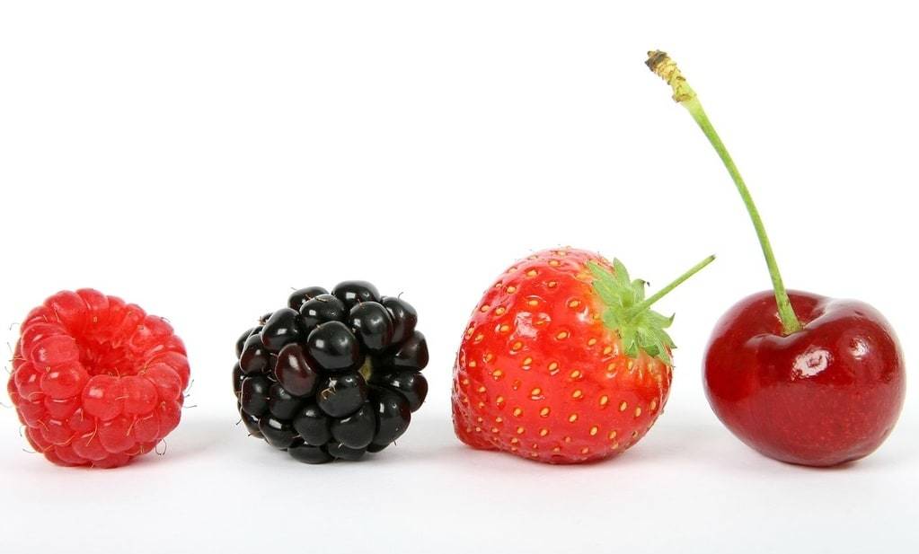 Comment intégrer des collations saines à votre routine alimentaire ?